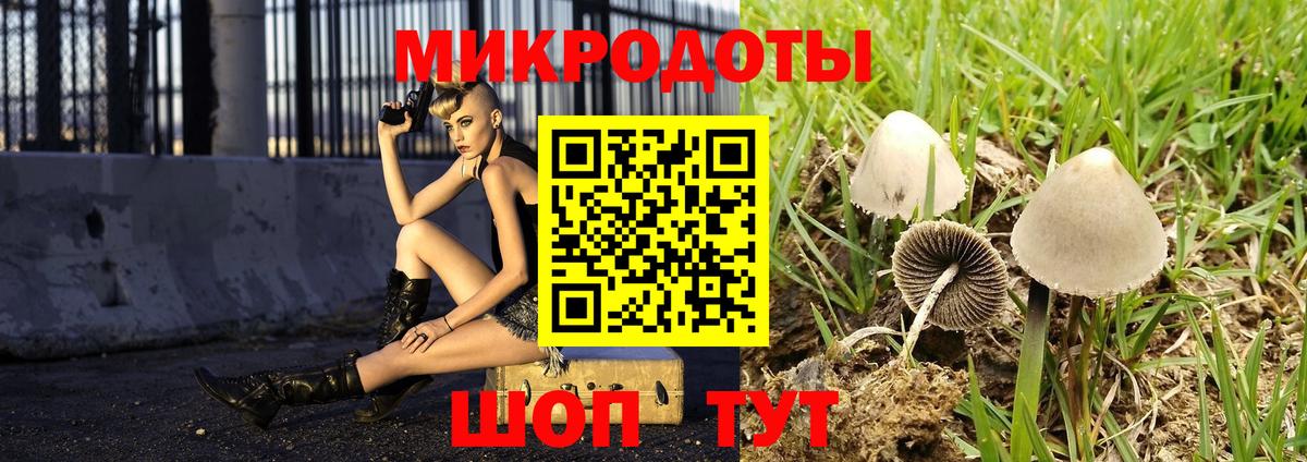 Псилоцибиновые грибы прущие грибы Отрадный
